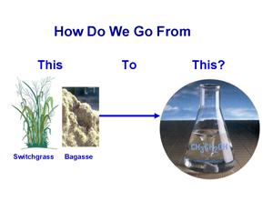 Lignocellulosic Biomass